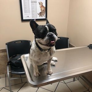 Meet your Posher, Nick